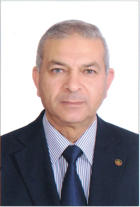 Samir Mohamed